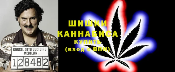 твердый Богородск