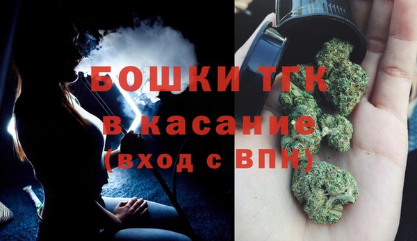 твердый Богородск